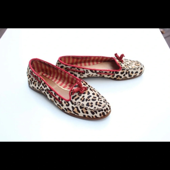 Sperry flats - Picture 7 of 14